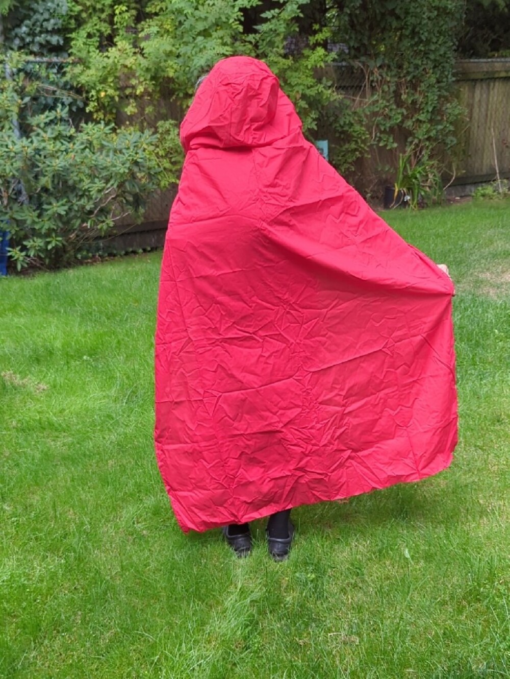 Halloween Costumes Little Red Riding Hood - Picture 4 of 4